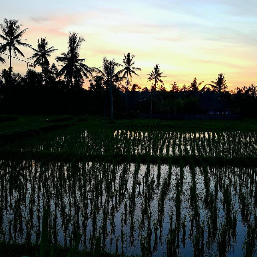 Rumah Sungai Tempat Tidur & Sarapan