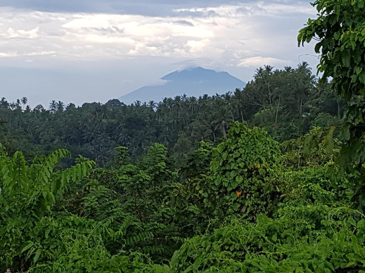 Tempat Tidur & Sarapan Rumah Sungai Ubud (Bali)