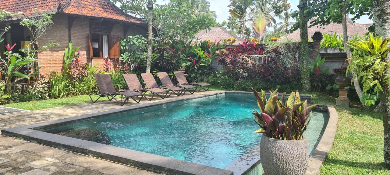 Rumah Sungai Frühstückspension Ubud