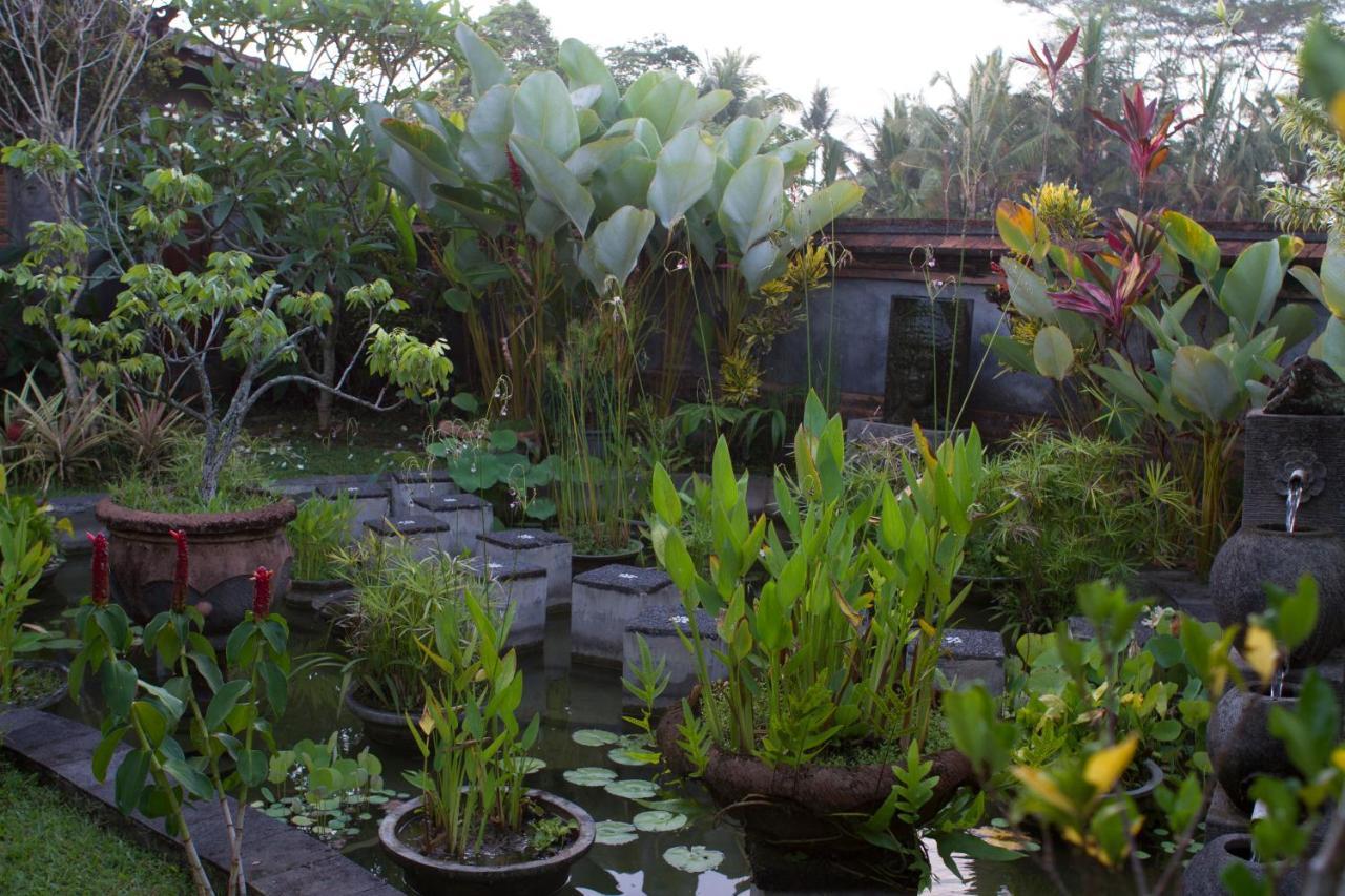 Frühstückspension Rumah Sungai Ubud