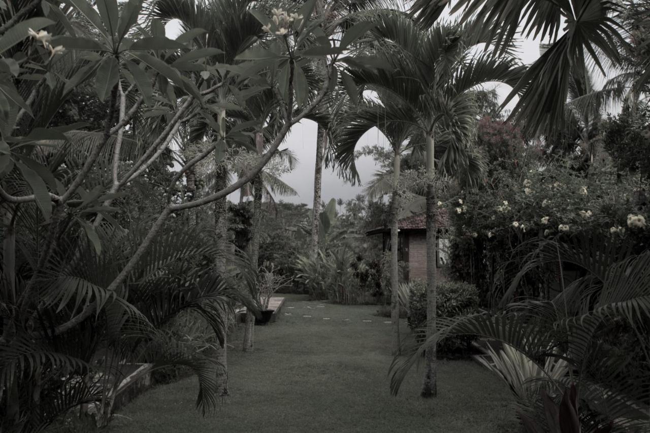 Rumah Sungai 3*